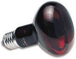 Zoo Med Nocturnal Infrared Incandescent Heat Lamp 50 Watts