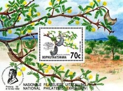 Bophuthatswana - 1992 Philatelic Foundation Ms Acacia Trees Ms Mnh Sacc 282A