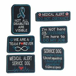 Bundle 6 Pieces Service Dog I'm Working Service Dog Working In Training Do Not Touch Full Embroidered Morale Patch For Dogs And Pets D-6 Pcs
