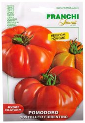Costoluto Fiorentina Tomato