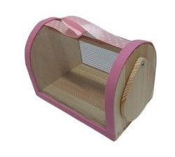 Children's Insect Box Pink
