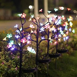 purple solar landscape lights