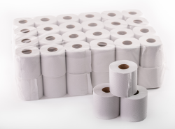 Toilet Paper Recycled 1 Ply 500 Sheets Pack Of 24