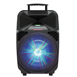 iq sound 12 tailgate bt speaker