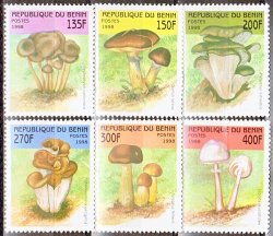 Benin 1998 Fungi Sg 1698 1703 Unmounted Mint Complete Set