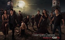 Neuhorris 019 The Vampire Diaries Season 5 38X24 Inch Silk Poster Aka Wallpaper Wall Decor