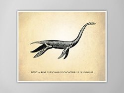 Plesiosaurus Dinosaur Art Print Dinosaur Natural History Poster Natural History Dinosaur Print Loch Ness Monster Poster Dinosaur Print