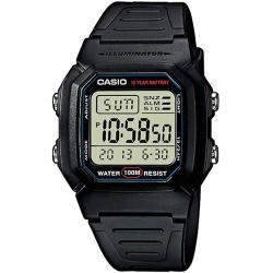 casio wr 100