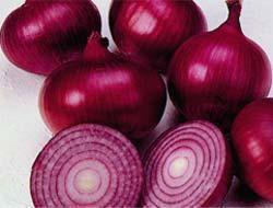 Onion Seeds Red Creole Heirloom - 5 Grams Onion Seeds