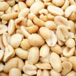 Roasted & Salted Giant Peanuts & Raisins 500G