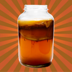 Kombucha Made Easy How To Make Kombucha Tea - Your First Home Brew With Probiotics