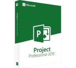 Microsoft Project Professional 2019 - Digital Email