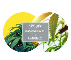 Course Combo: Cannabis Grow 101 & Cannabis 101