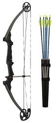 Genesis Archery GENK-12248 Archery Righ Hand Bow Set 15-30-INCH 10-20-POUND