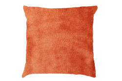 Cushion Rust Owe 45X45