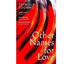 Other Names For Love Paperback