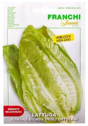 Romana Bionda Degli Ortolani Lettuce