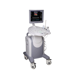 Ultrasound Colour Trolley 15" Lcd Monitor 2 Probes Conves Linear transvaginal