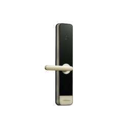 Smart Door Lock Classic Multiple Ways For Access Password