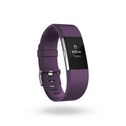Fitbit Charge 2 Large in Plum Silver