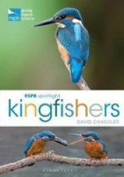 Rspb Spotlight Kingfishers Paperback