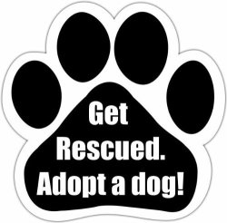 Get Rescued Adopt A Dog " Car Magnet With Unique Paw Shaped Design Measures 5.2 By 5.2 Inches Covered In Uv Gloss For Weather Protection