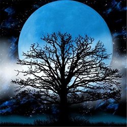 Diamond Painting By Number Kit Lprtalk 5D Diy Diamond Painting Animal Full Square Drill Moon Tree Embroidery For Wall Decoration 12X12 Inches Full Drill