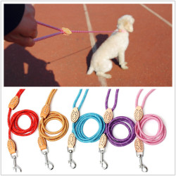 Nylon Pulling Rope Lead Exercising Walking Leash For Pet Dog Puppy