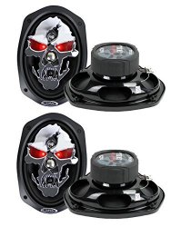 boss skull speakers