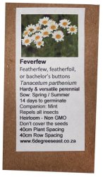 Heirloom Herb Seeds - Feverfew - Tanacetum Parthenium