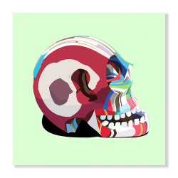 Flip Flop Skull Art Print - A4