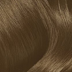 HFC Prestige International U.S. LLC Clairol Natural Instincts 6.5C Brass Free Lightest Brown Semi-permanent Hair Color 1 Kit Pack Of 3