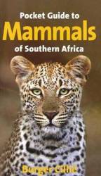 Pocket Guide to Mammals of South Africa