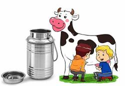 Finaldealz Stainless Steel 10 Liter Milk Can Jug Pot Milk Canister Milk Container Dolu Dolchi Milk Bucket With Lid