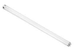 T12 Fluorescent 40W G13 1.2M 4FTCOOLWHITE Radiant