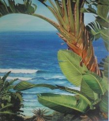 Indian Ocean Views Bluff - Limited Edition Giclee Signed Arlene Mcdade