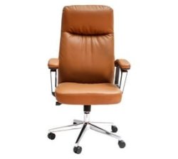 Kristie Office Executive Chair Brown