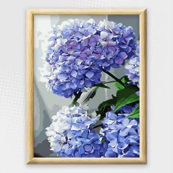 Adult Paint By Numbers With Frame - Hydrangea Angel
